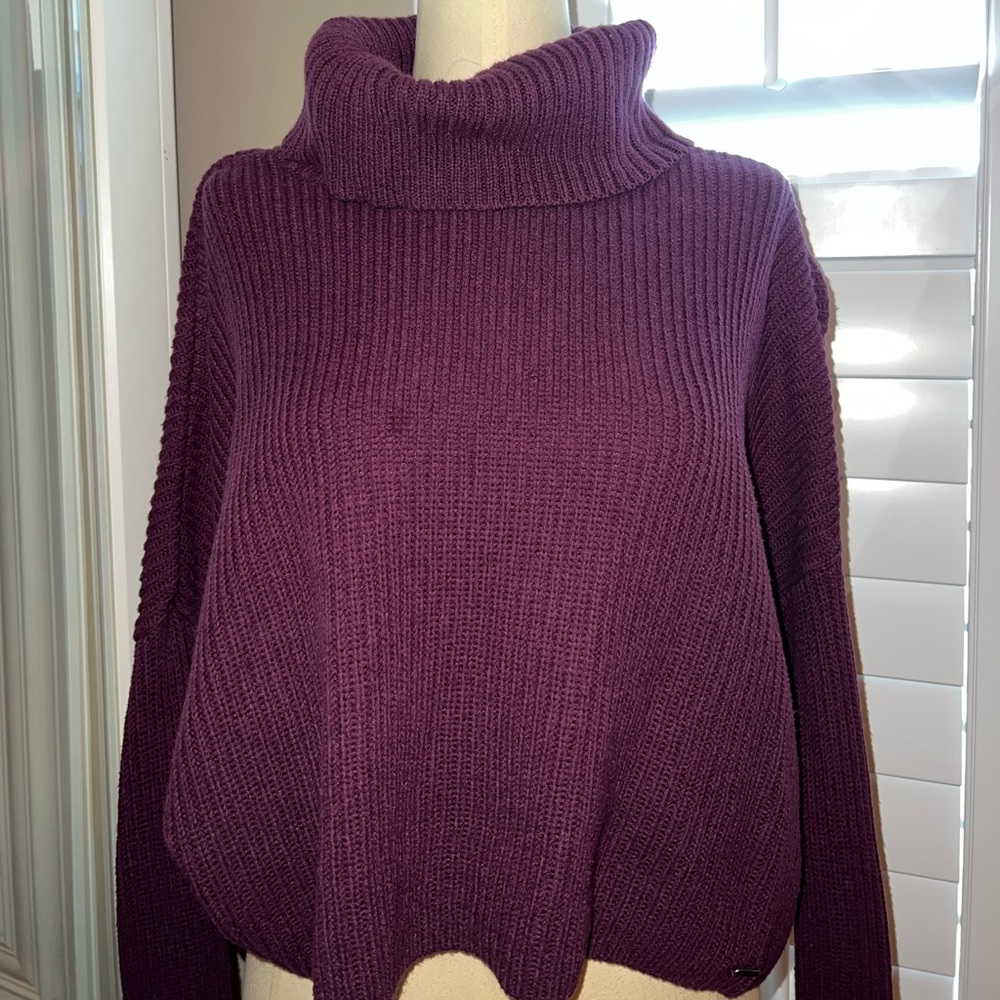 Hollister Sweater